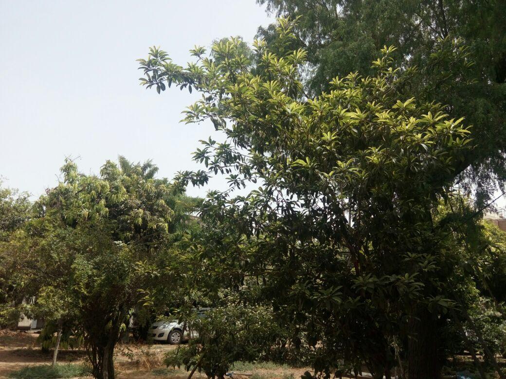 Nature Trail Camps & Homestay Jodhpur  Eksteriør bilde