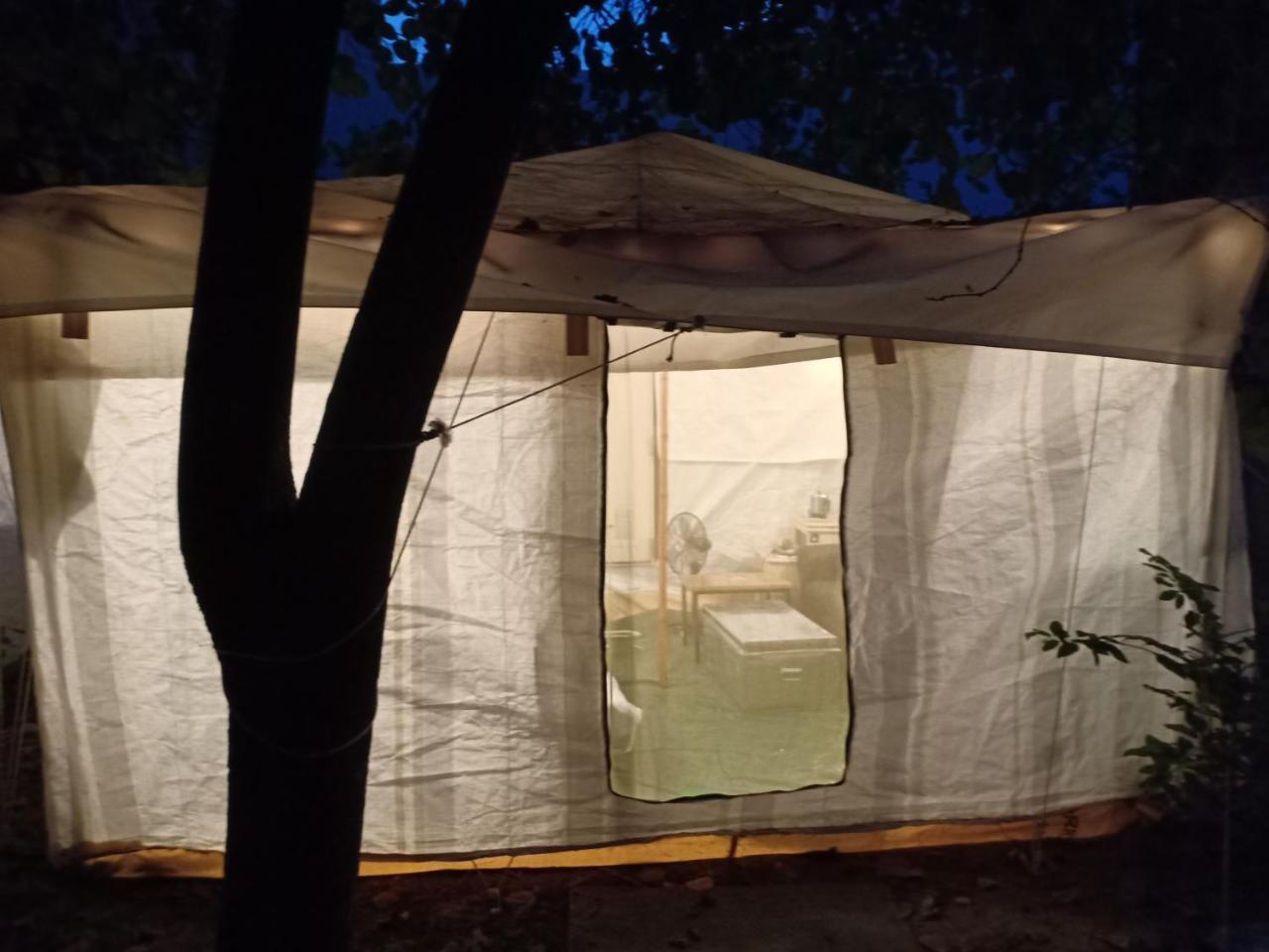 Nature Trail Camps & Homestay Jodhpur  Eksteriør bilde