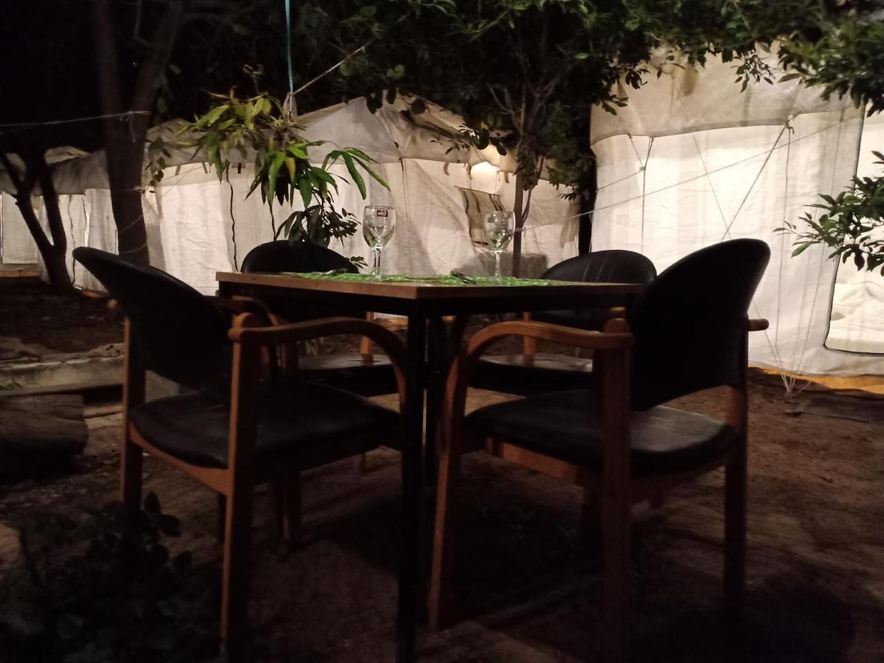 Nature Trail Camps & Homestay Jodhpur  Eksteriør bilde